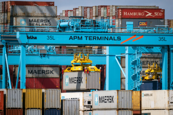 APM Terminals Maroc recrute en 2025 : 19 offres d’emploi dans la logistique et le transport portuaire